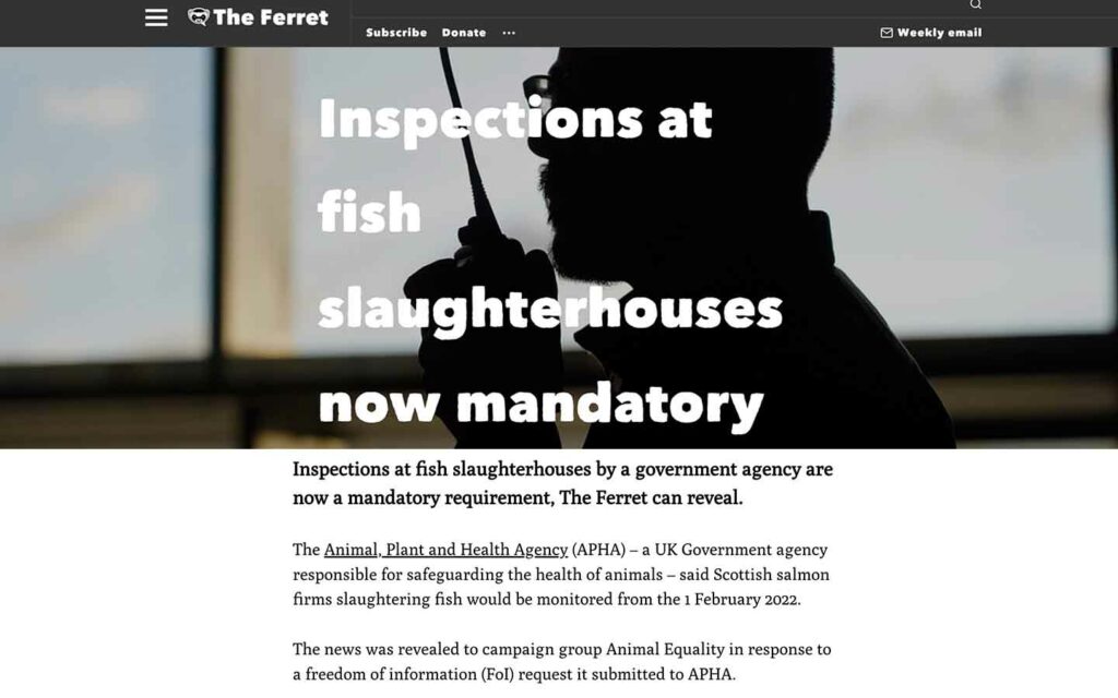 Inspections at fish slaughterhouses now mandatory