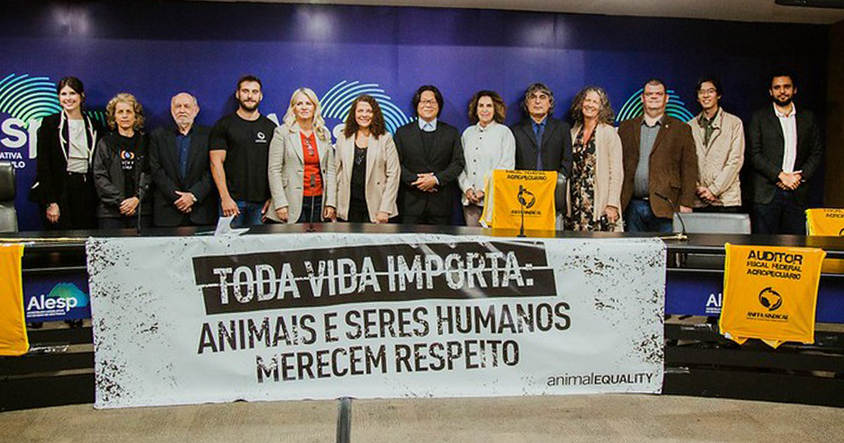 2022 brazil self control PL bill public hearing 3000x1000 1 Animal Equality, Brazil Holds Public Hearing Against Inhumane Law