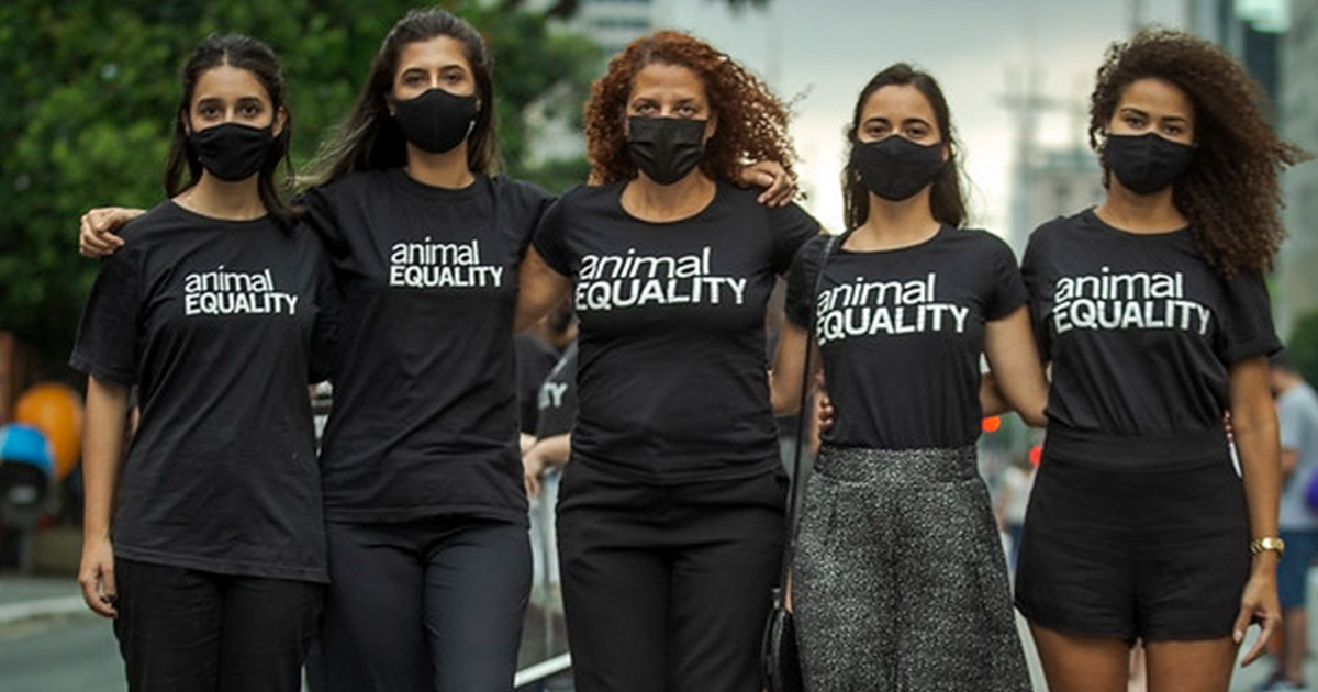 brazil team animal equality action protest 1200x630 1 Animal Equality’s Global Pressure To Stop Harmful Law In Brazil