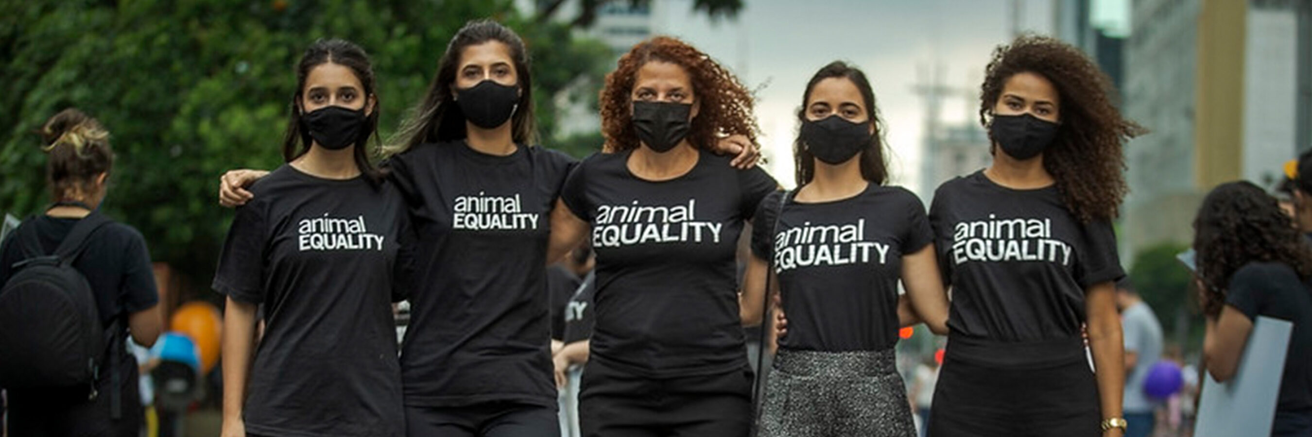 Animal Equality’s Global Pressure To Stop Harmful Law In Brazil