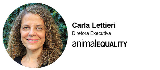 carla lettieri brazil animal equality executive director email signature “It’s one of the most alarming bills for animals”