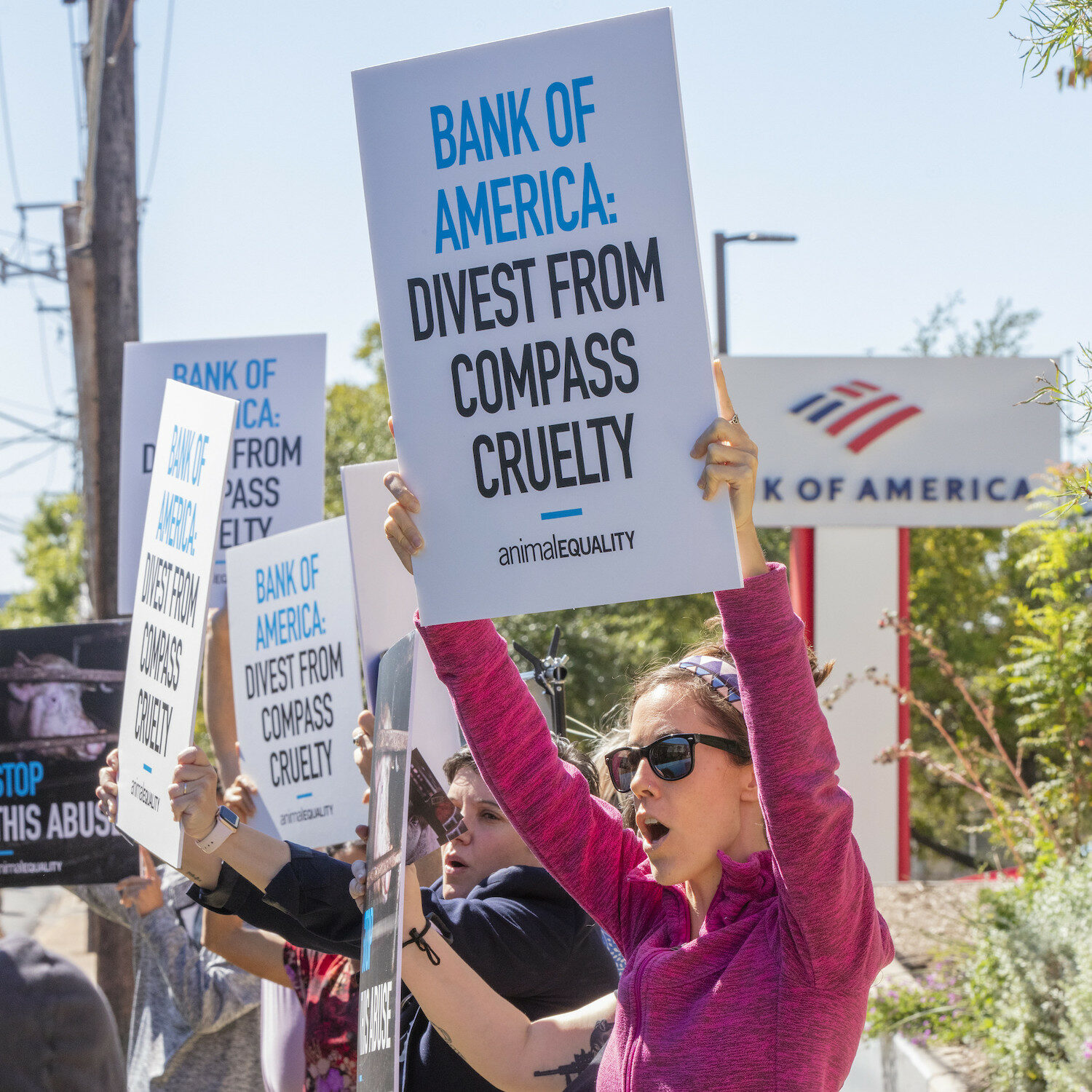Animal Equality Protests Bank of America's Partnership with Compass Group  Cruelty