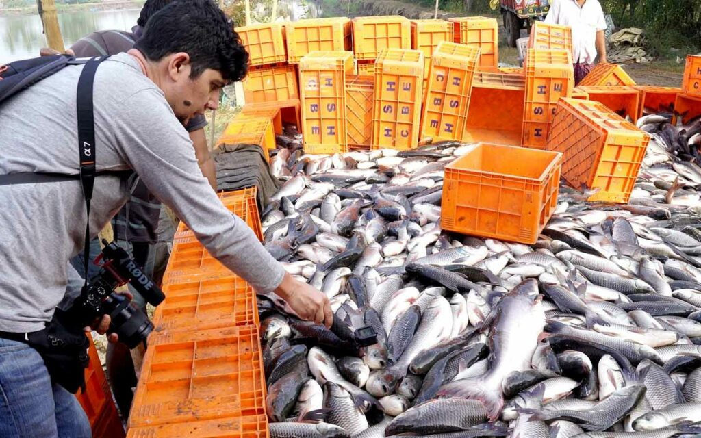 Animal Equality investigator documenting fish farms in India.