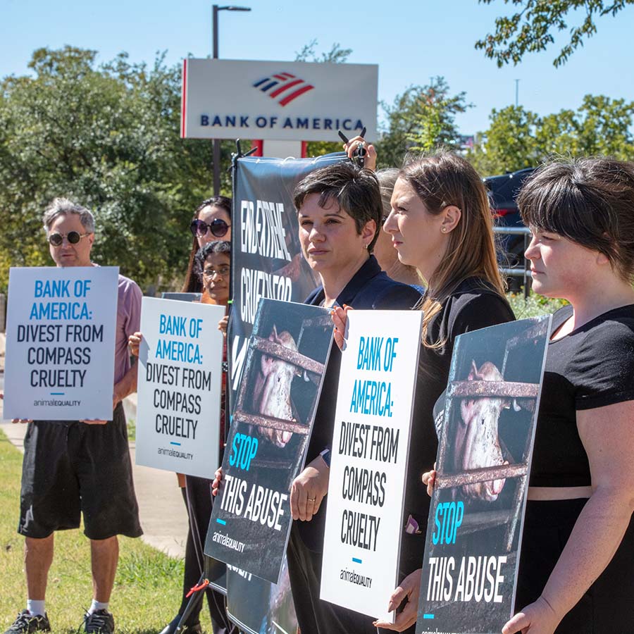 Animal Equality protest against Bank of America and Compass Group