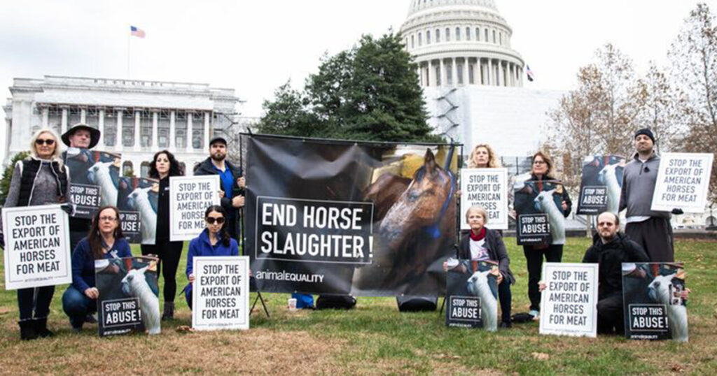 2022 horse slaughter protest DC protesters in front of capitol building 1200x630 1 1024x0 c default Our Top 10 Moments for Farmed Animals in 2022