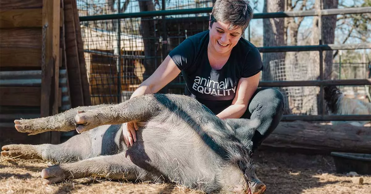 January-March 2022 Impact 1