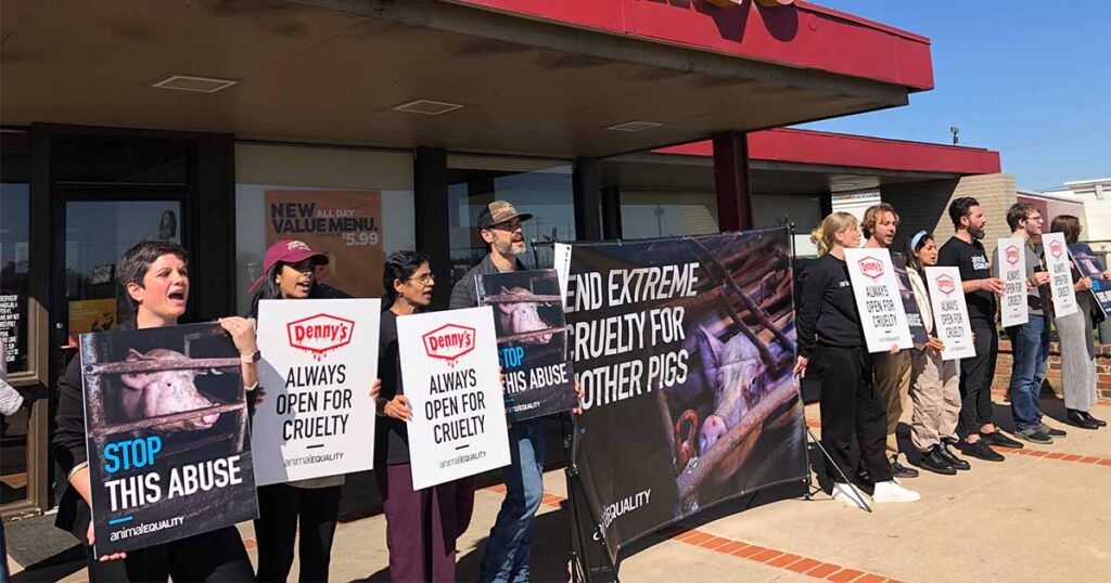 Animal Equality Protests Denny's on Las Vegas Strip