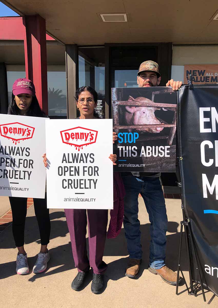 230205 dennys protest crates pigs gestation campaign signs protestors 3 850x1200 1 Animal Equality Stands Up for Pregnant Pigs