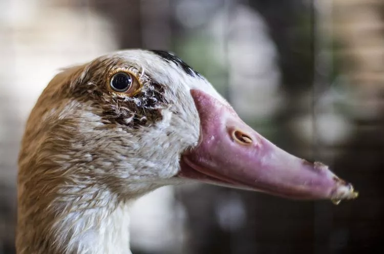 January-March 2022 Impact 8