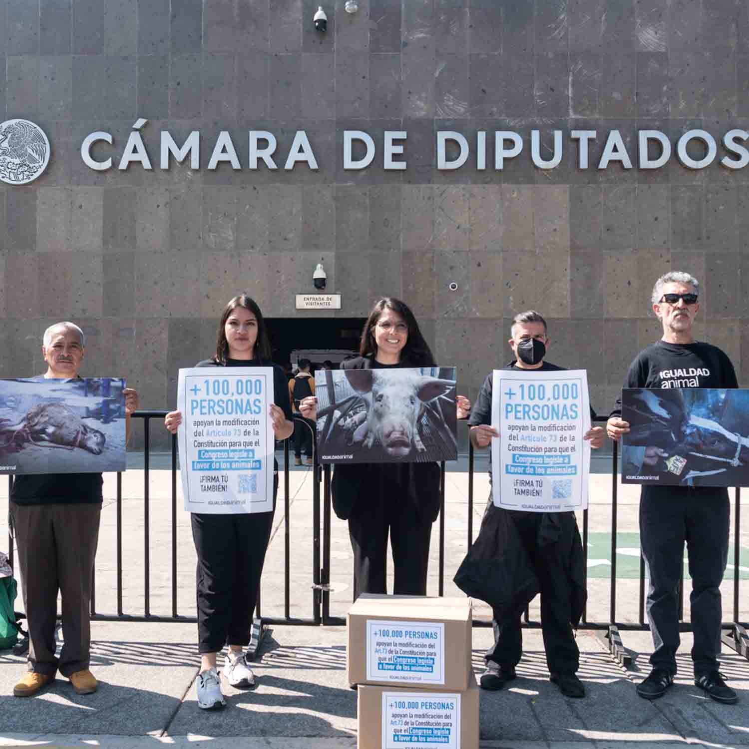 Animal Equality Delivers 100,000 Signatures to Mexican Congress