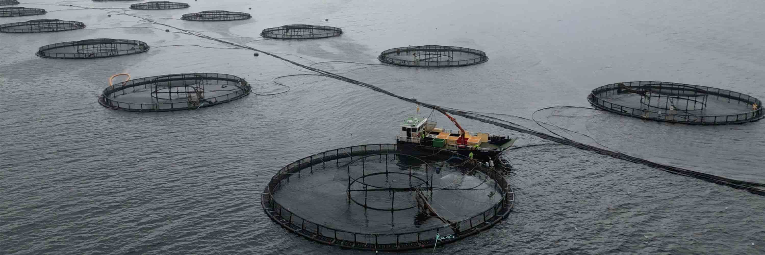 aerial view of a fish farm