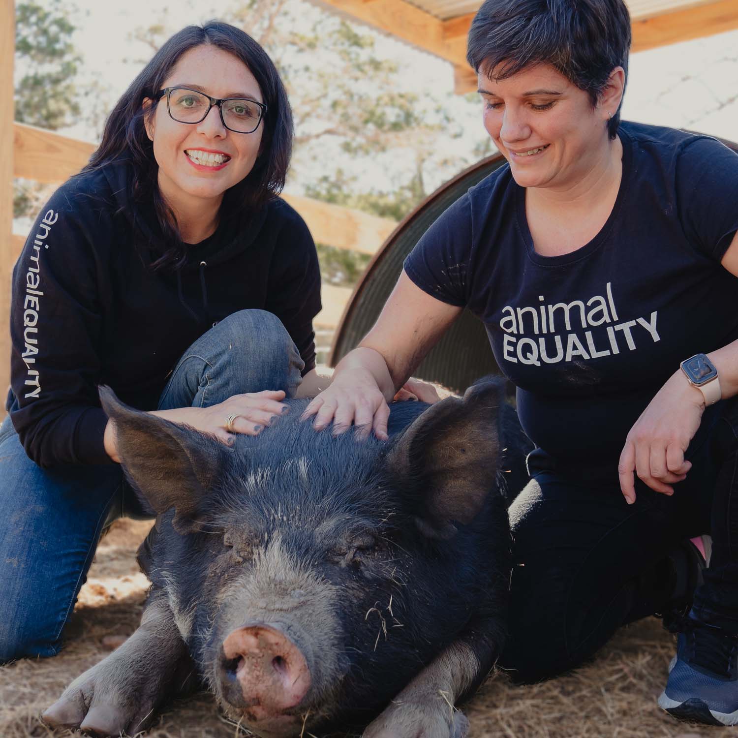 2023 womens day dulce sharon pig farm leadership 1500x1500 1 Meet the Women Leaders Behind Animal Equality’s Mission