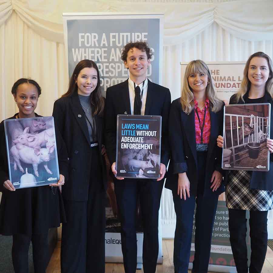 Animal Equality UK members at a Parliamentary reception