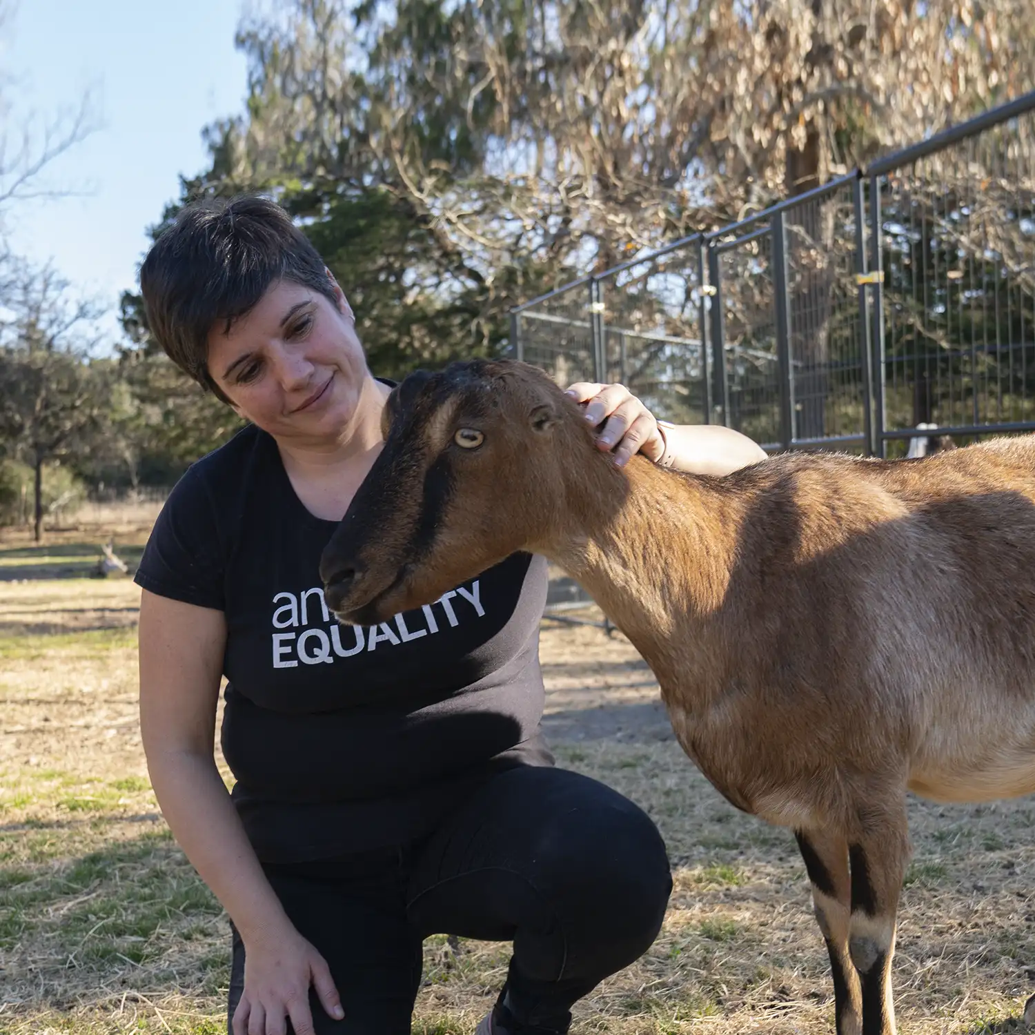 Sharon with rescued goat in a sanctuary