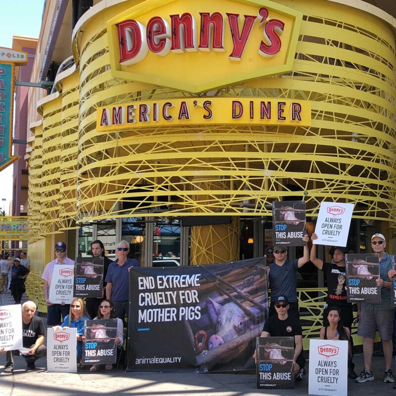 denny's protest in las vegas, nevada