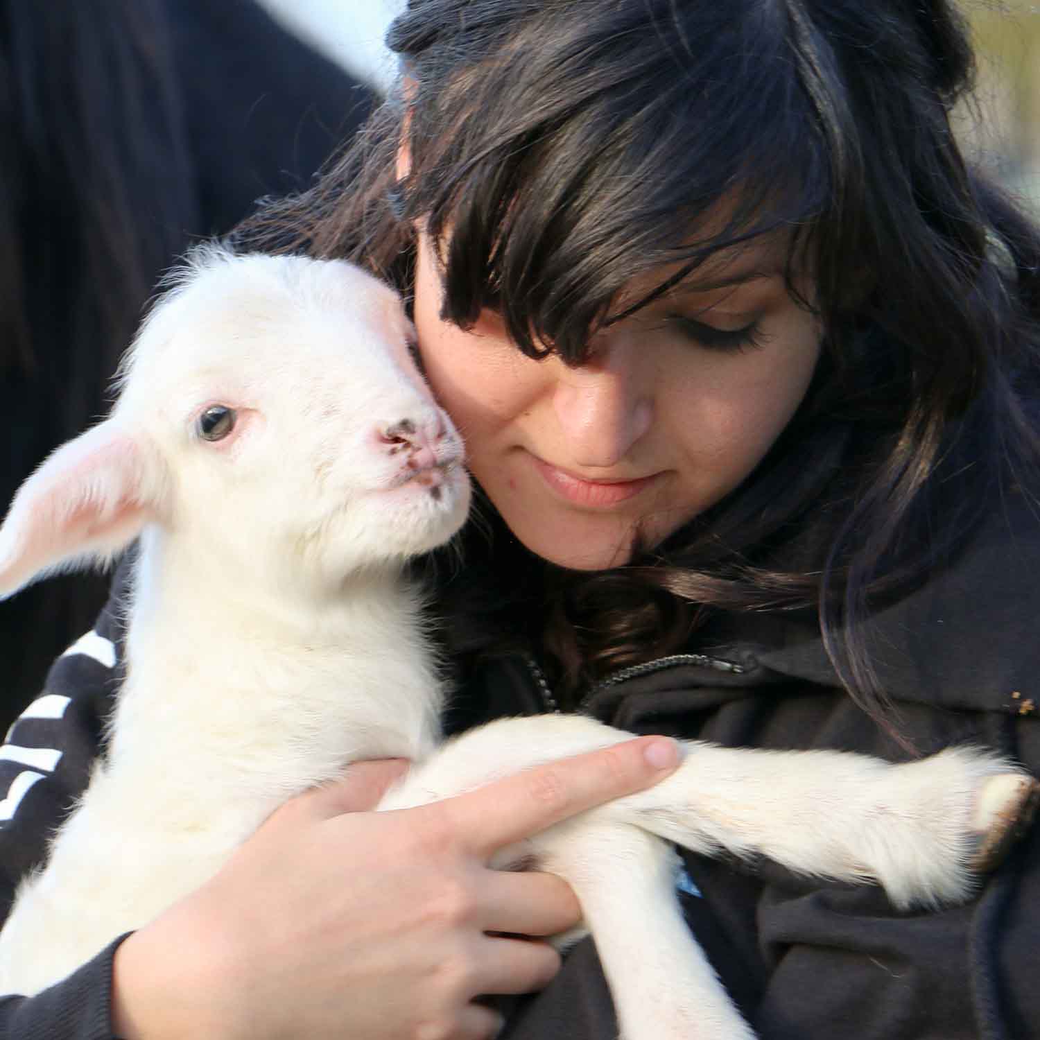 Animal Equality volunteer with a rescued lamb