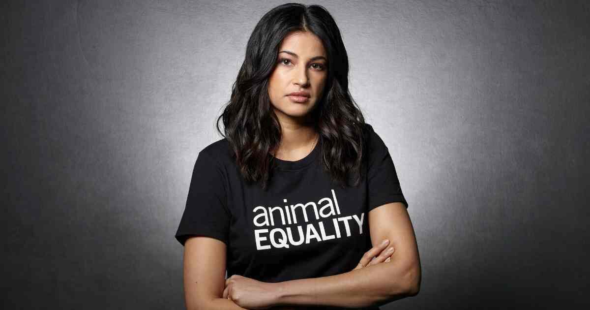 cropped 2023 richa moorjani india dairy investigation social 1200x630 1 Actress & Activist Richa Moorjani on the Global Dairy Industry