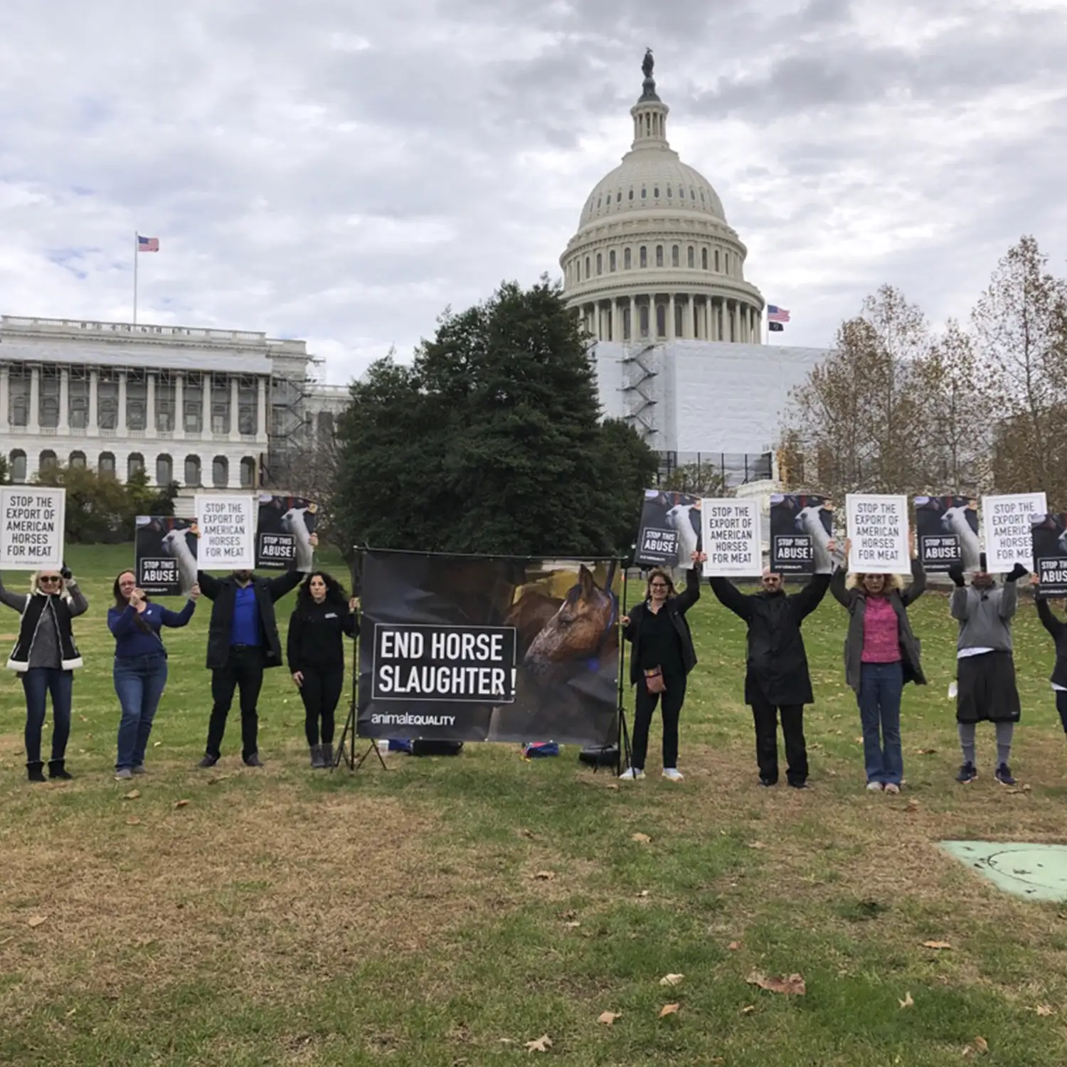 Animal Equality volunteers protesting at Capitol Hill against the horse meat trade