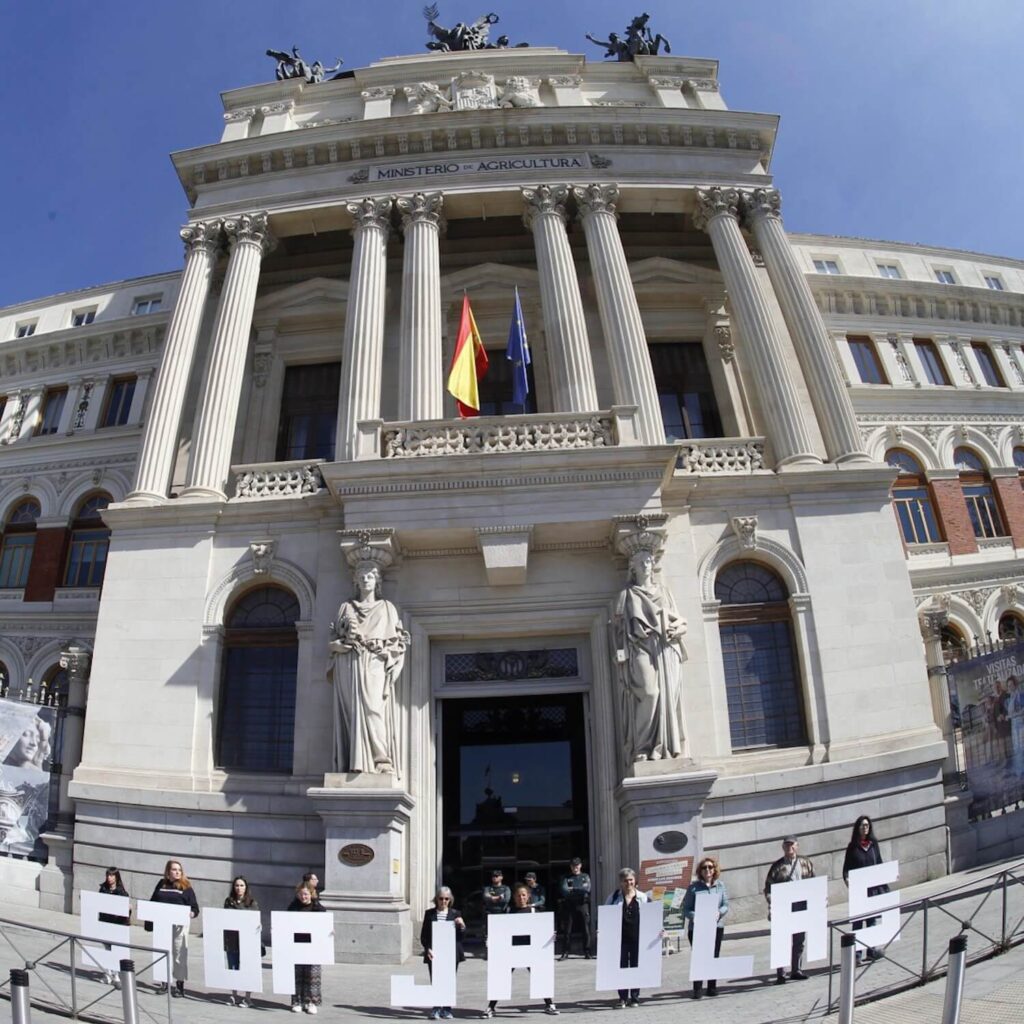 Animal Equality volunteers at the Ministry of Agriculture in Madrid, with letters saying, "Stop Jaulas".
