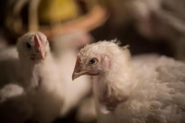 January-March 2022 Impact 10