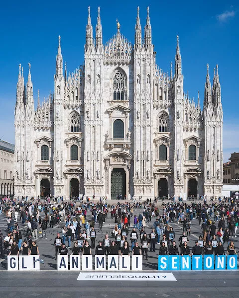 Animal Equality volunteers show posters saying "animals feel" during a demonstration in Milan.