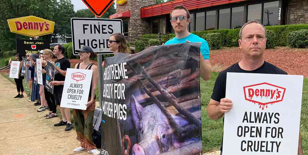 Protestors holding signs at Denny's in Raleigh, NC