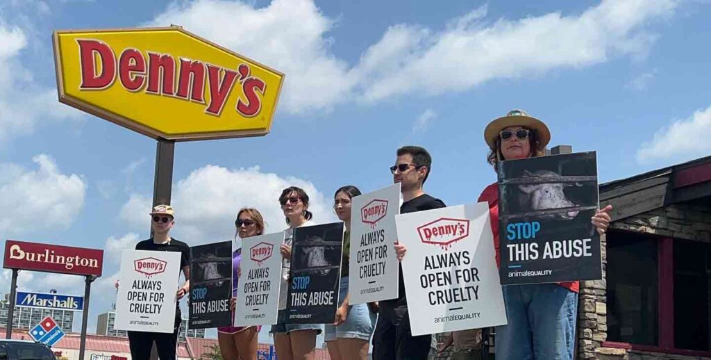 Animal Equality holds protest outside of Denny's in Chicago, IL