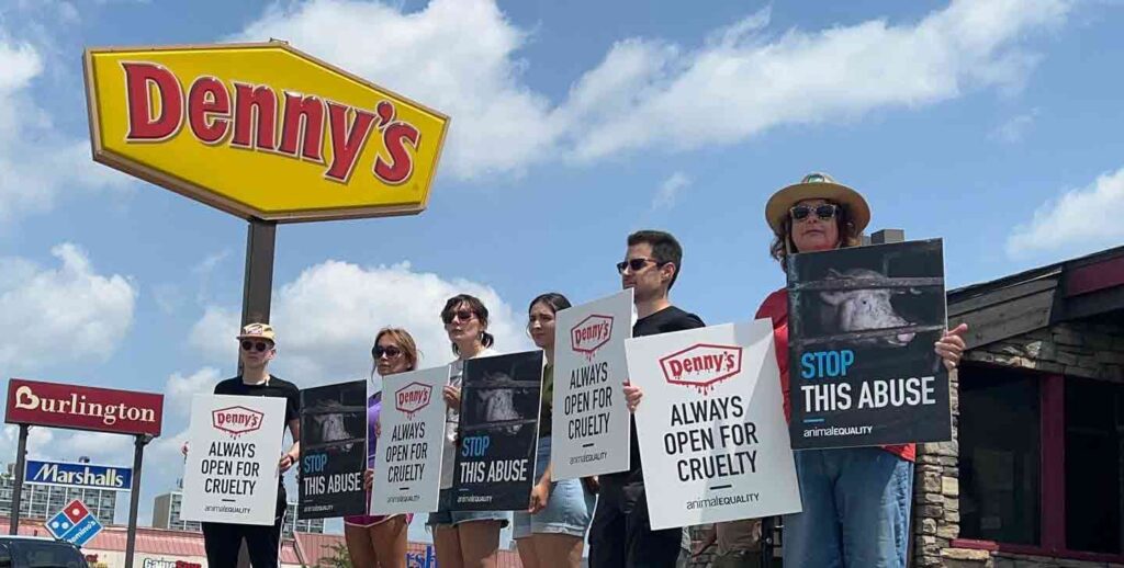 Animal Equality Protests Denny's on Las Vegas Strip