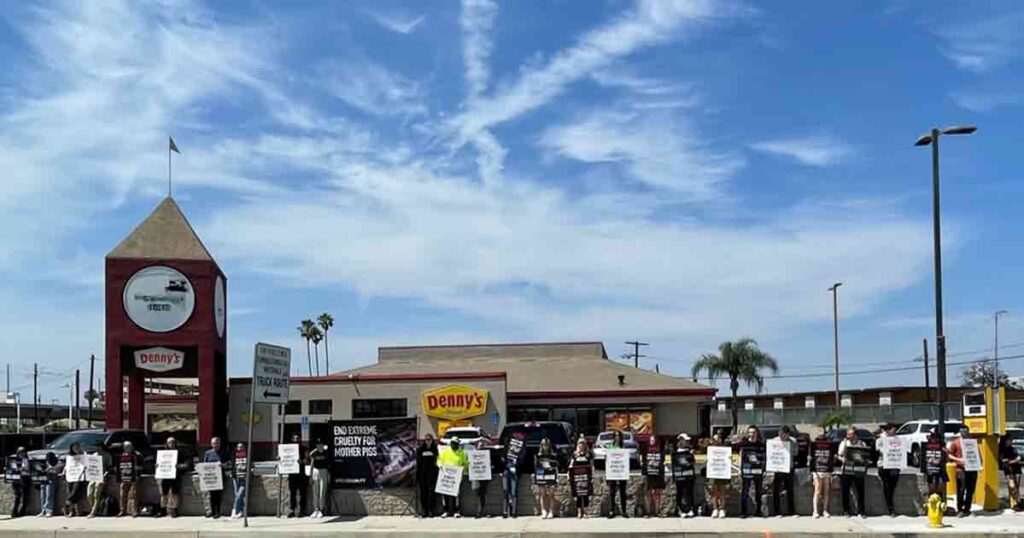 Animal Equality holds protest outside of Denny's in LA