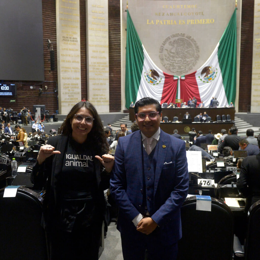 Animal Equality inside the Federal Congress in Mexico.