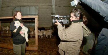 Sharon Núñez, presidenta de Igualdad Animal, filmando a una protectora de animales rescatando a un cordero de una granja industrial.