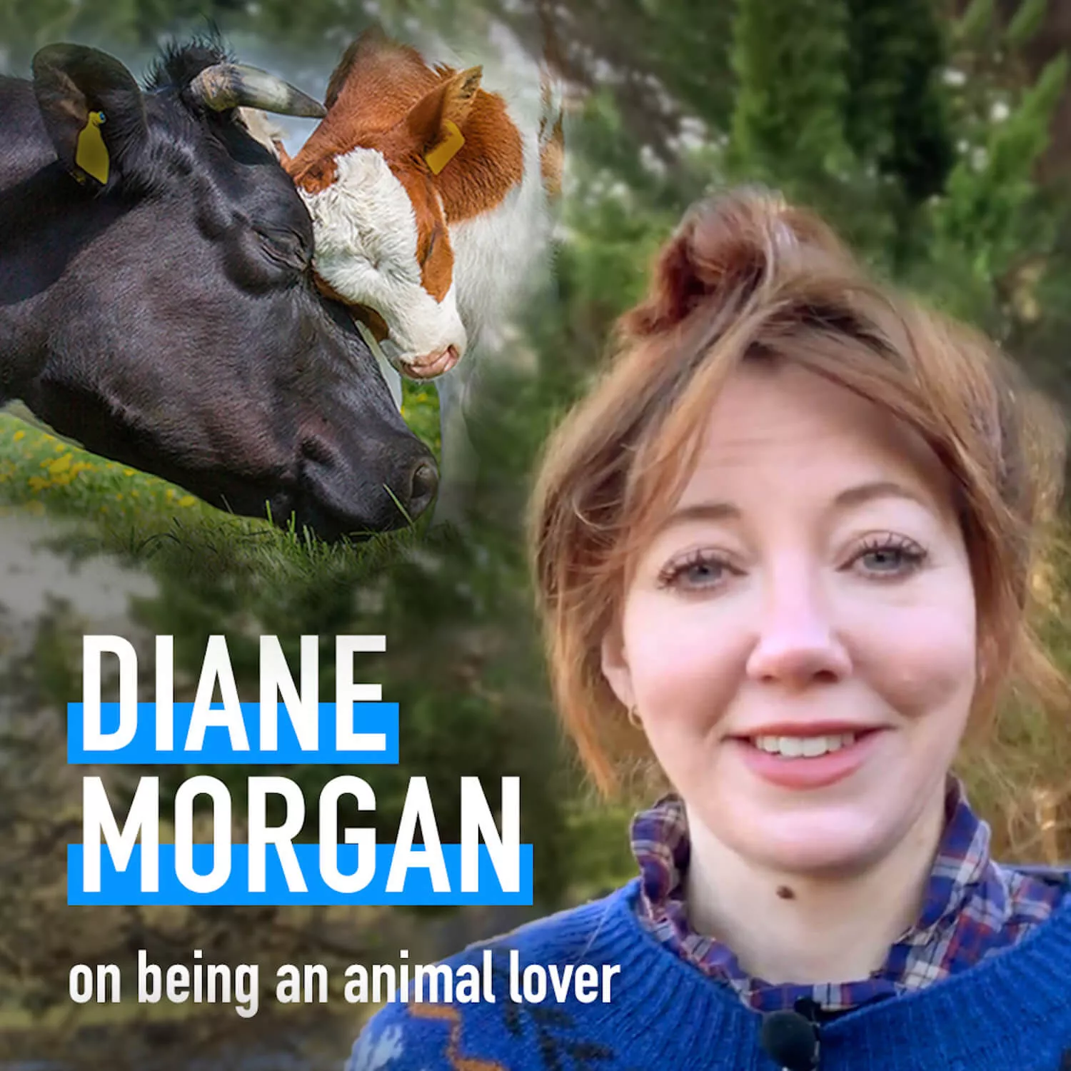 Close-up of Diane Morgan.