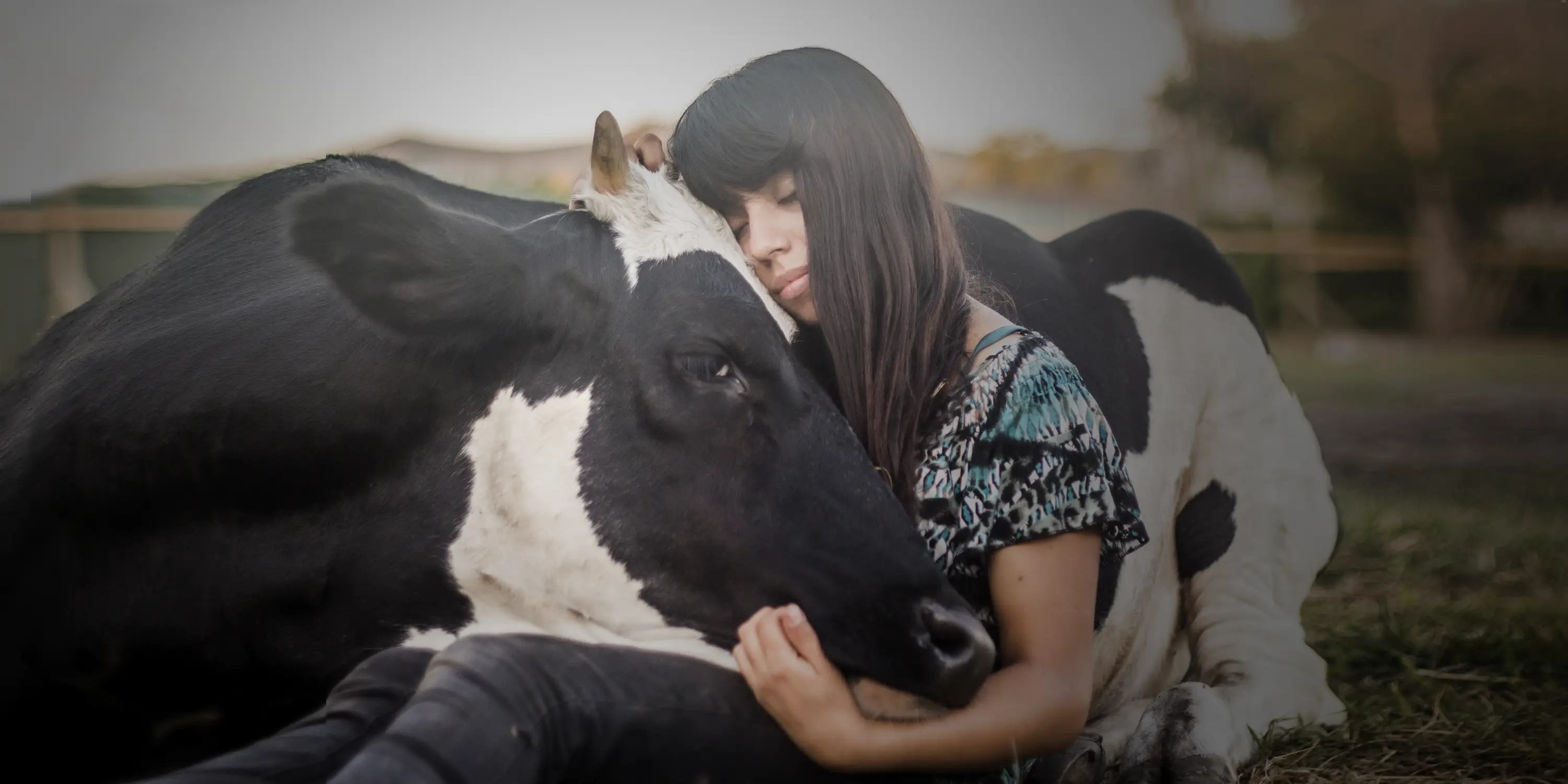 Woman with rescued cow