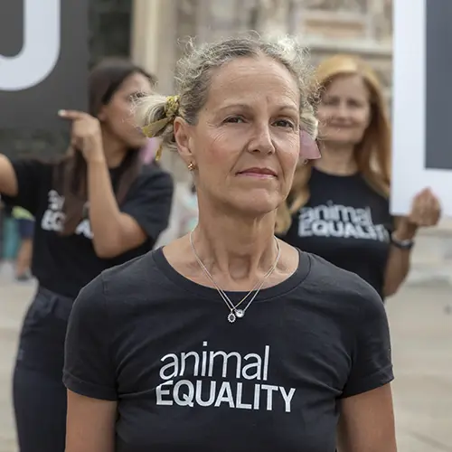 Animal Equality volunteer
