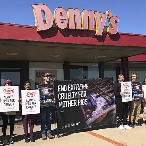 Protest against Dennys in Austin