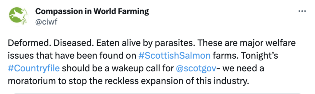 Twitter post on Scottish Salmon Fishing Farms