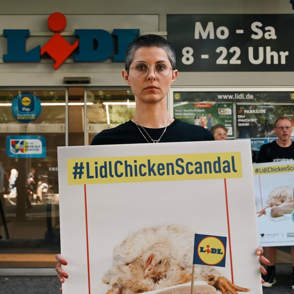 Animal Equality LIDL protest in Berlin. 