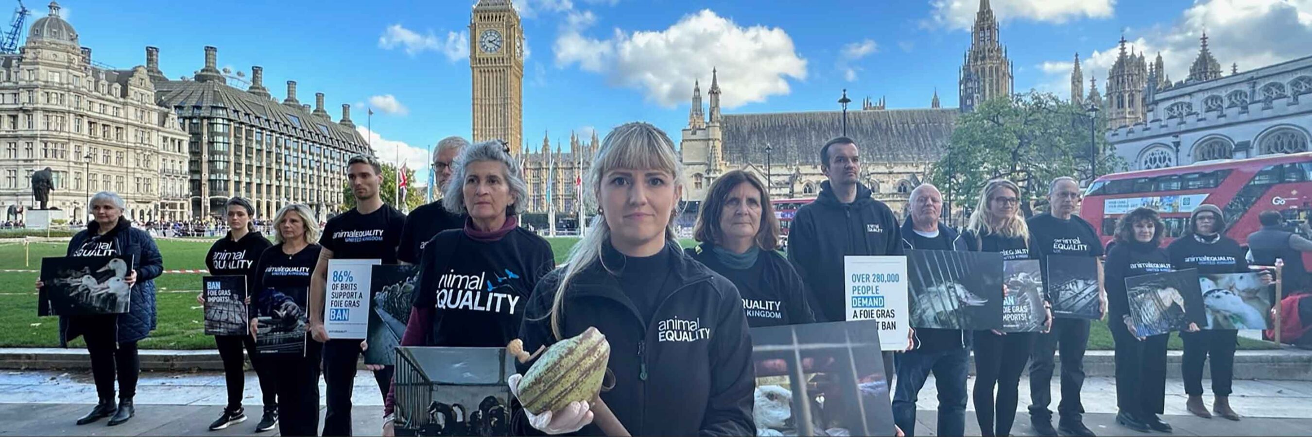 UK Parliament Debates Import Ban on Foie Gras