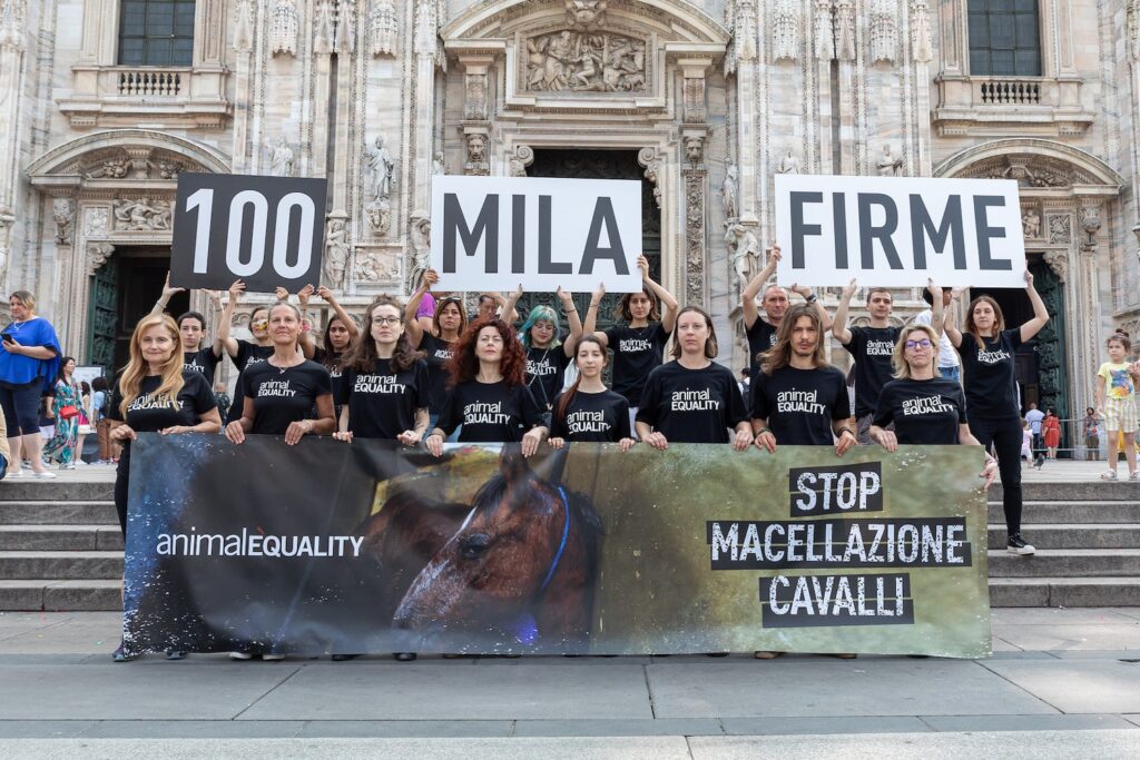 Animal Equality protest against horse slaughter in Milan.