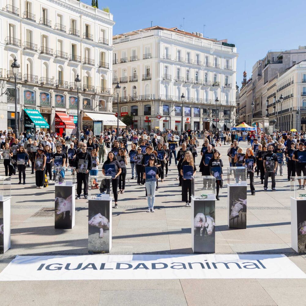 Protest in Spain September 2023