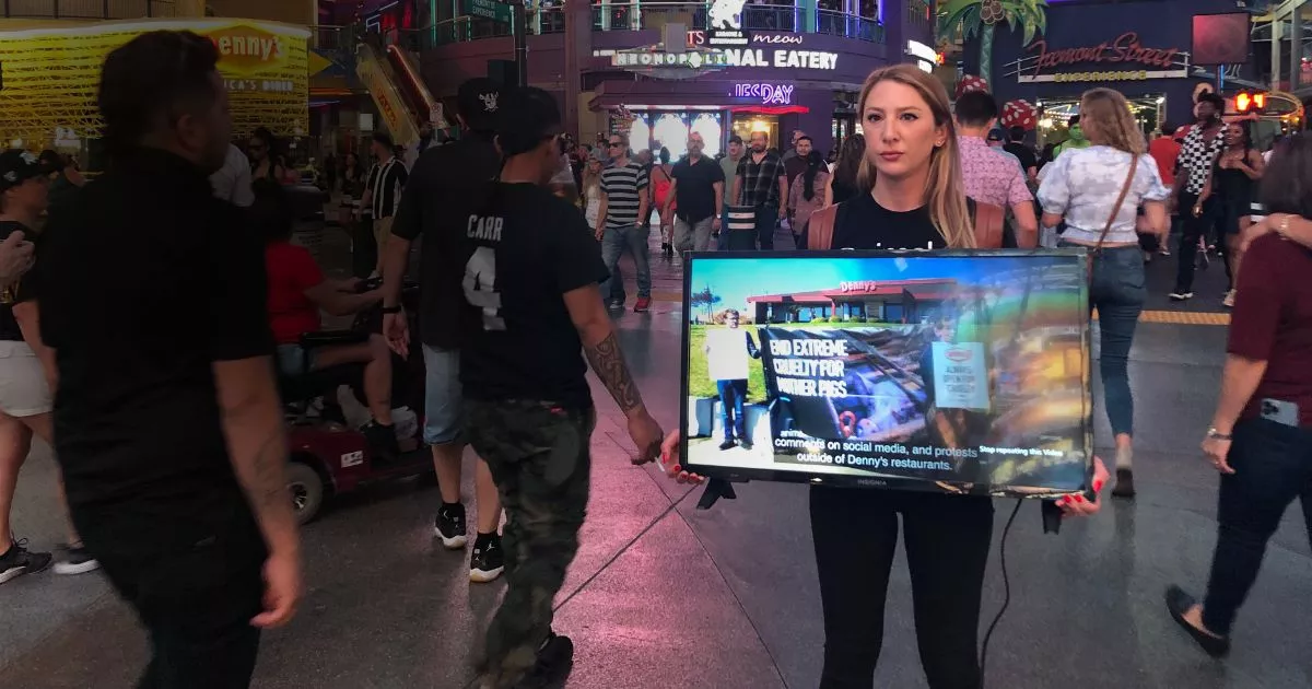 protestor standing holding a television that is playing a video of pigs in a cage