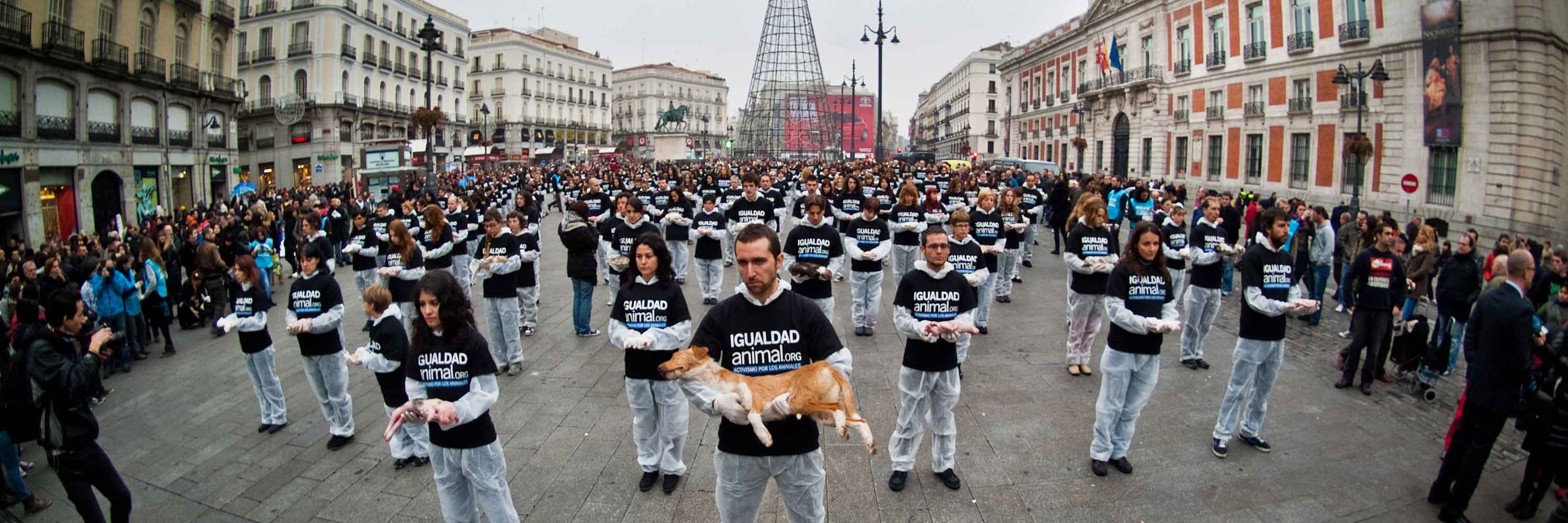 animal rights day Madrid