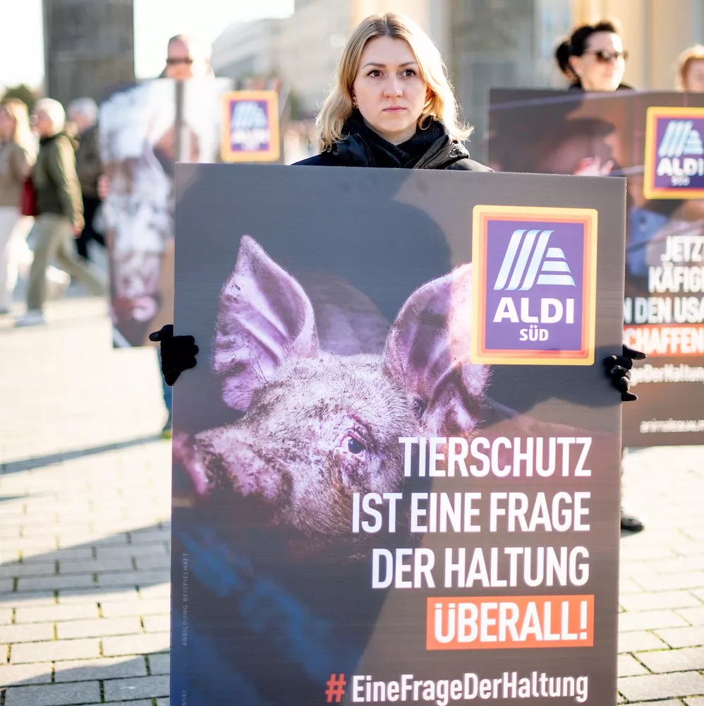 Animal Equality protest against Aldi in the Brandenburg Gate.