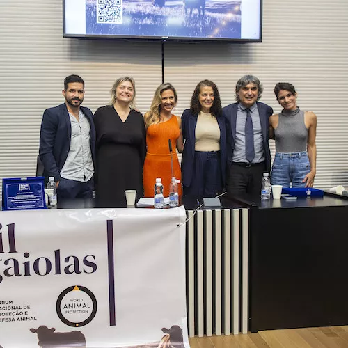 Animal Equality during the launching of the “Brazil Without Cages” campaign.