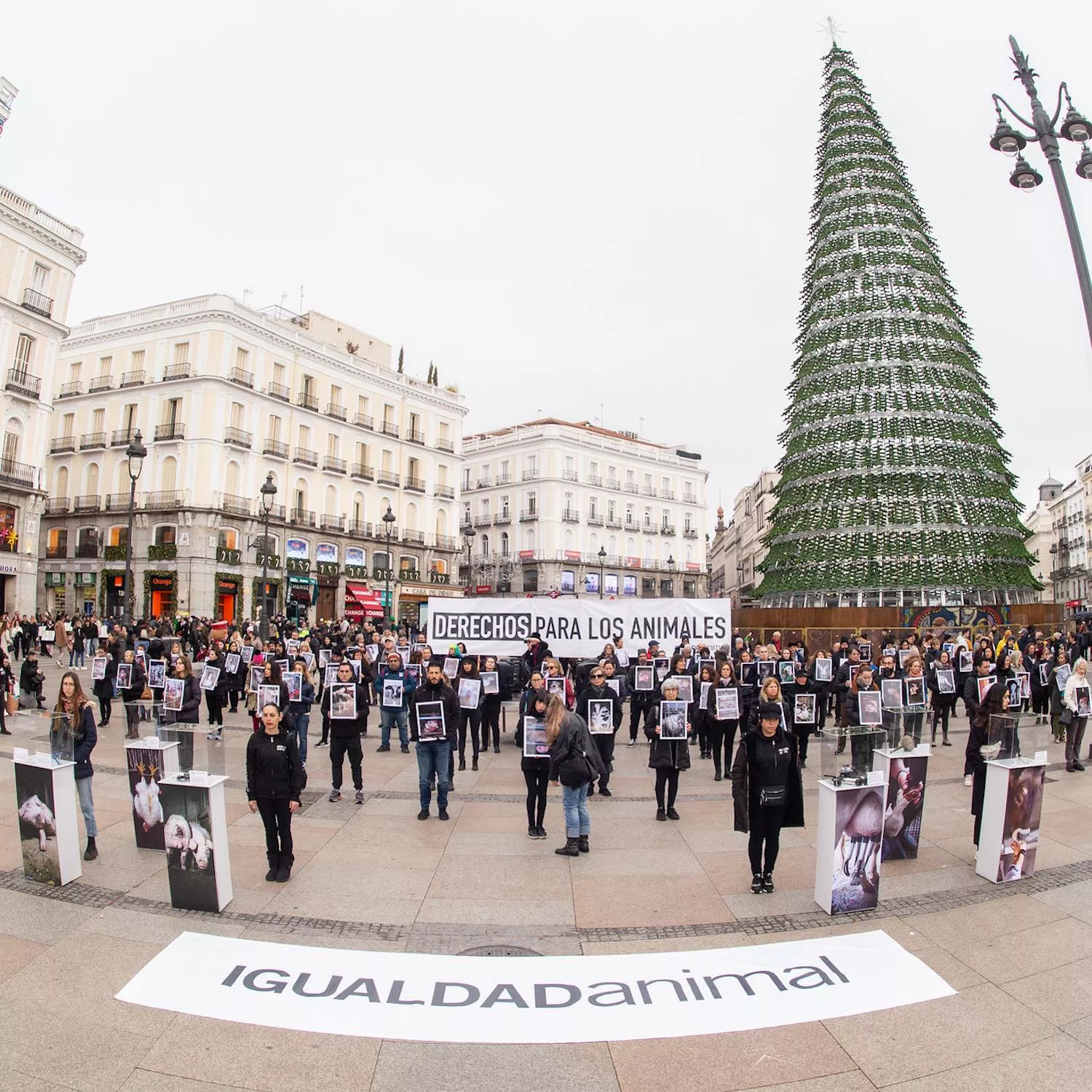 Volunteers with posters during the International Animal Rights Day  protest in Spain