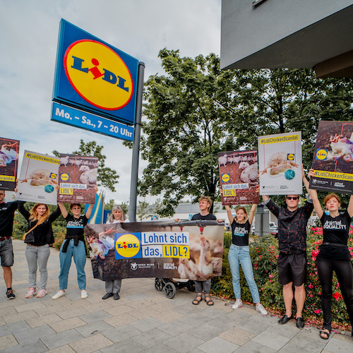 Animal Equality protest targeting LIDL in Germany.