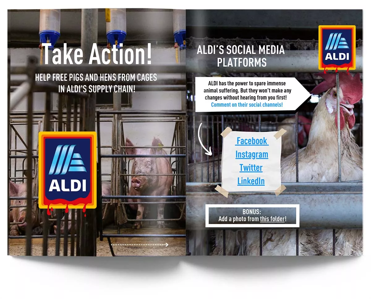Guide on how to take action against Aldi to help animals