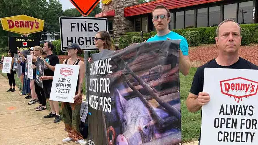 Protestors holding signs at Denny's in Raleigh, NC