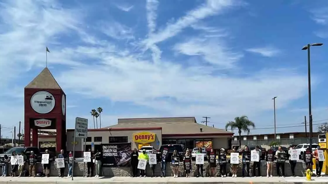Animal Equality holds protest outside of Denny's in LA