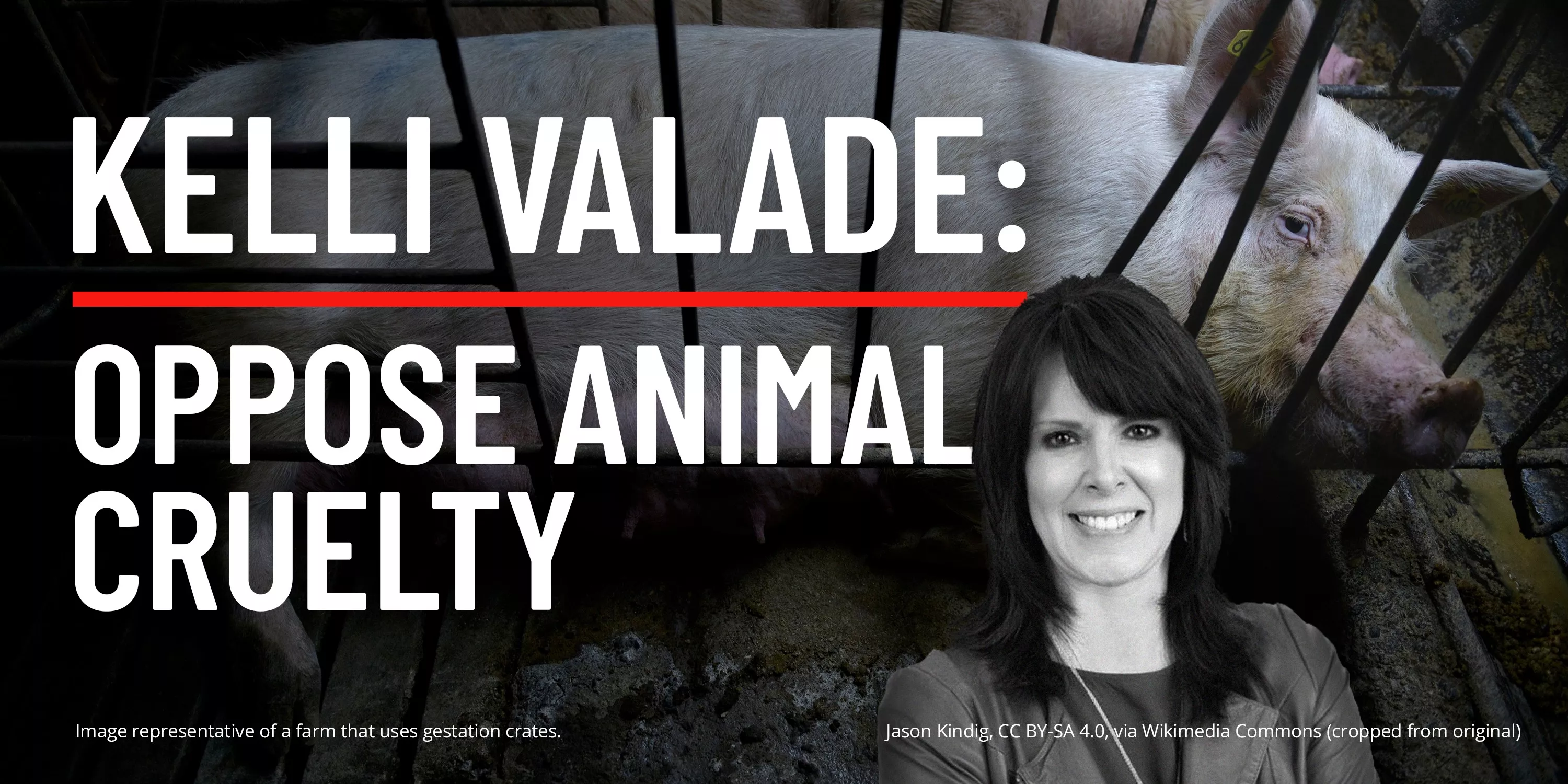 Pig in a cage looking out with sad expression next to the statement, Kelli Valade: Oppose Animal Cruelty